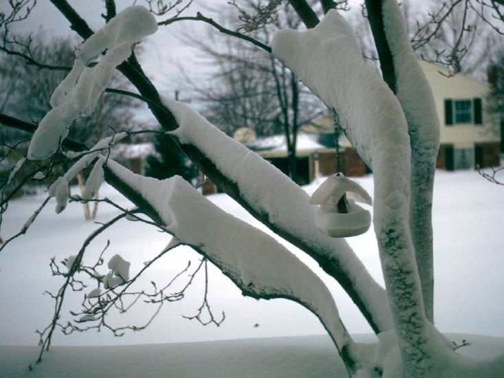  in big Thanksgiving snowfall